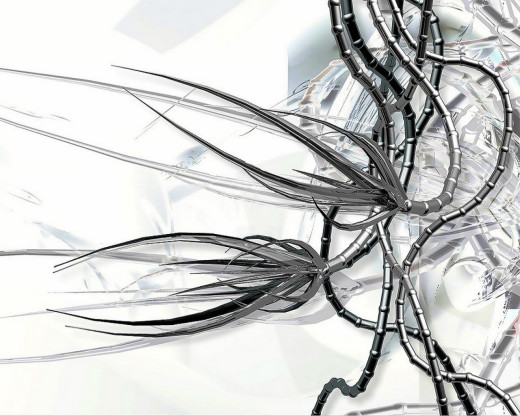 13611 (a): :1280x1024